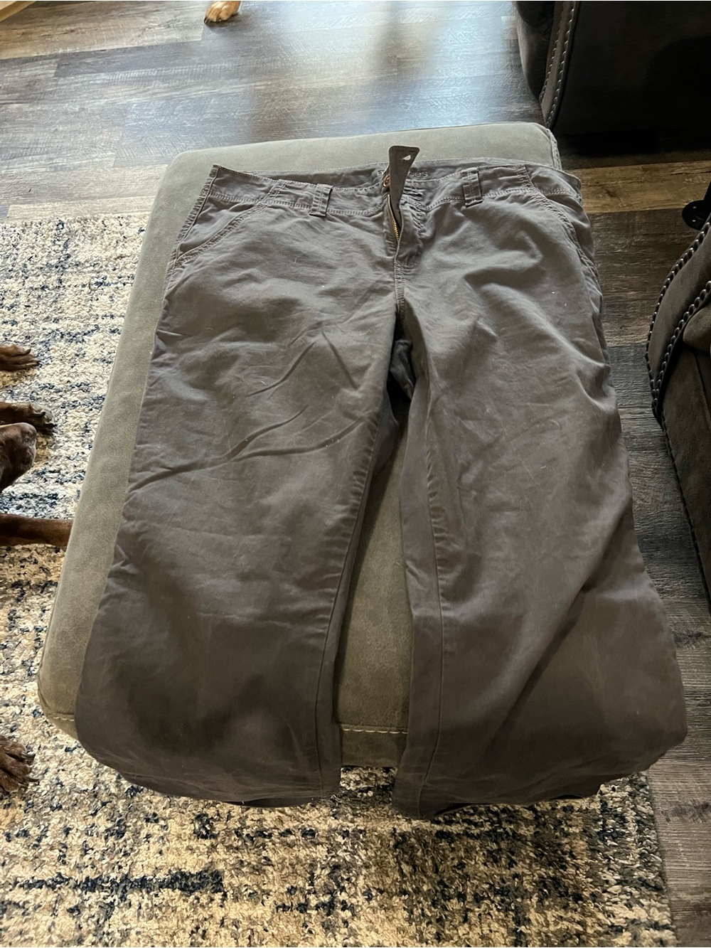 Maurices Boot-Leg Jeans in Charcoal